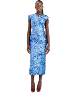 The blue brocade dress 