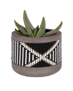 Mahlangu Planter